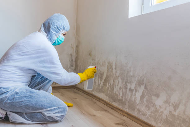 Mold Remediation specialist working in Kennett Square