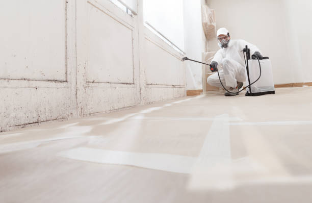 Black mold remediation team in Kennett Square